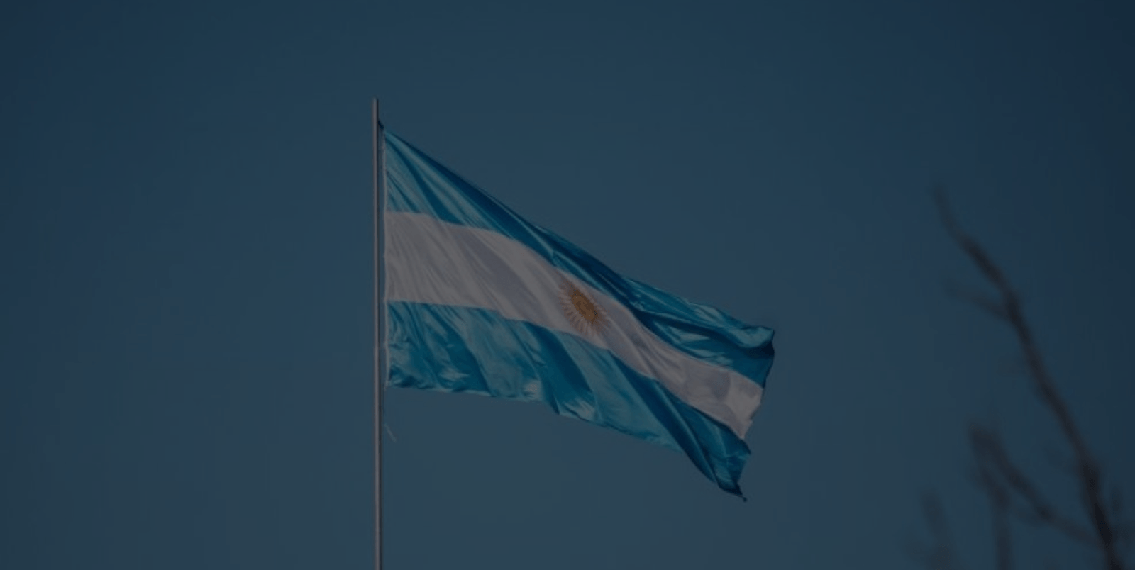 La Democracia Constitucional Argentina